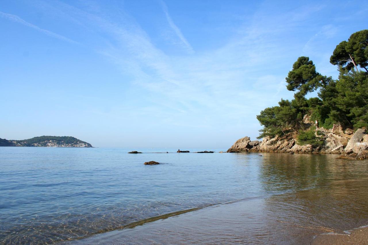 Magnifique Petit Cocon Bord De Mer Le Pradet Ngoại thất bức ảnh
